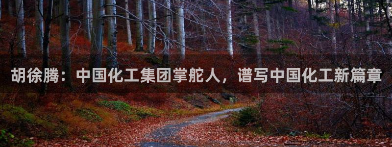 球盟会提款支付宝怎么样