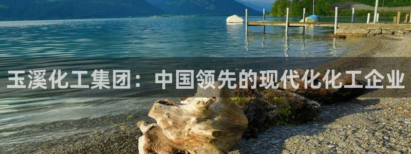 球盟会网页登录app下载地址