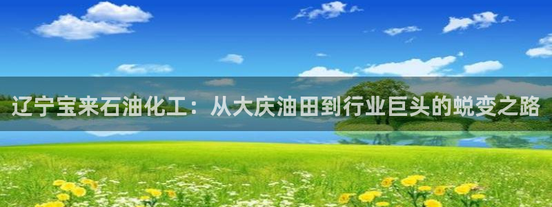 球盟会官方登录平台