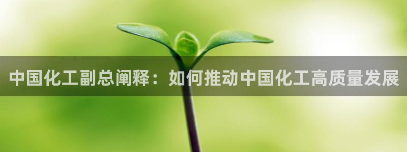 球盟会登录网址