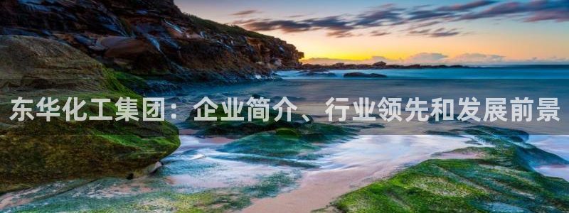 球盟会登录网址