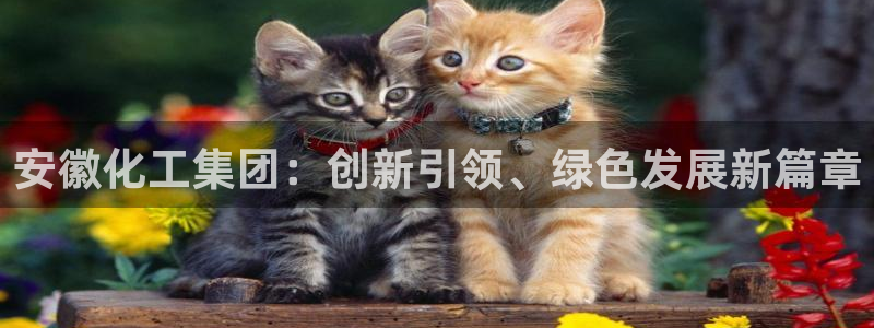 球盟会登陆入口