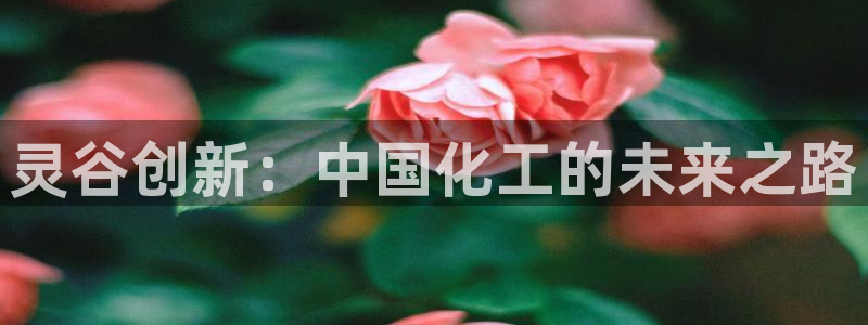 球盟会黑款吗知乎小说：灵谷创新：中国化工的未来之路