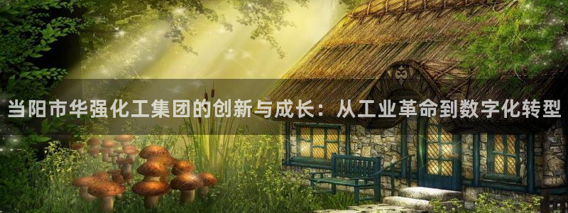 球盟会体验金球奖吗：当阳市华强化工集团的创新与成长：从工业革