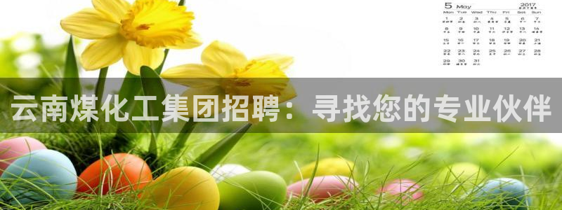 球盟会黑钱：云南煤化工集团招聘：寻找您的专业伙伴