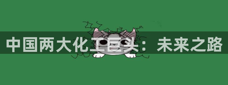 球盟会app最新地址在哪看：中国两大化工巨头：未来之路