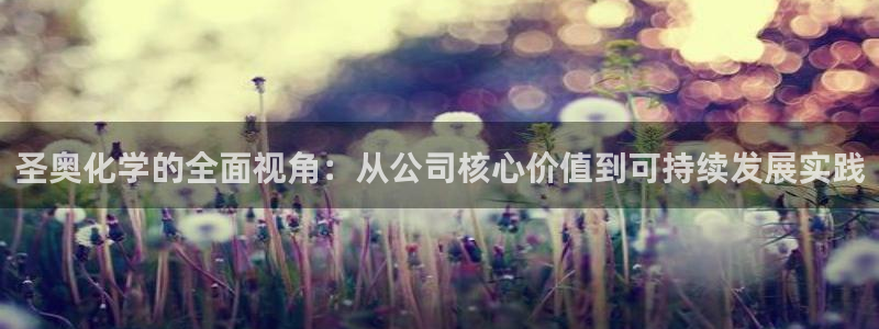 球盟会体育平台：圣奥化学的全面视角：从公司核心价值到可持续发