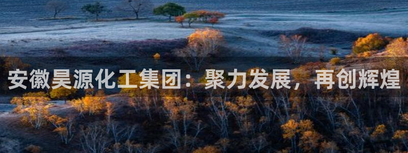 球盟会App：安徽昊源化工集团：聚力发展，再创辉煌