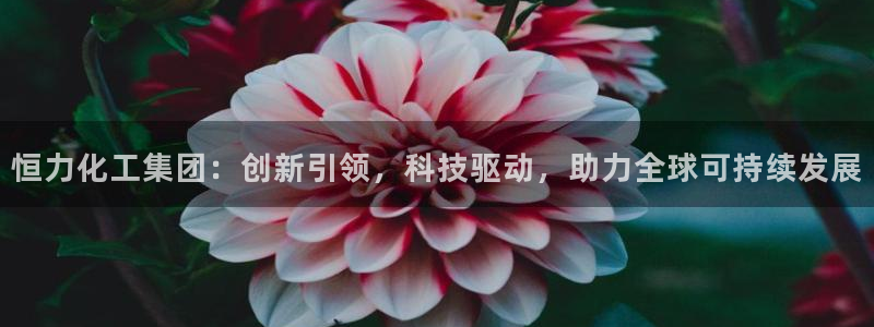 球盟会进不去球员吗：恒力化工集团：创新引领，科技驱动，助力全