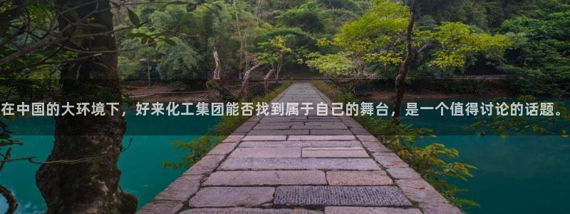 球盟会能提现吗：在中国的大环境下，好来化工集团能否找到属于自