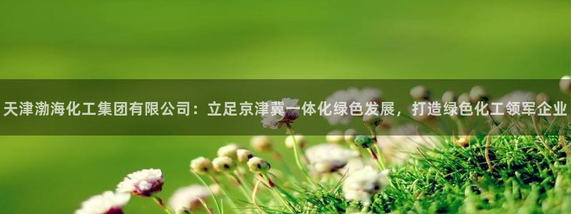 球盟会APP官网：天津渤海化工集团有限公司：立足京津冀一体化