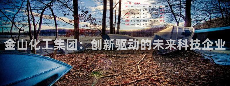 球盟会官方网页登录：金山化工集团：创新驱动的未来科技企业