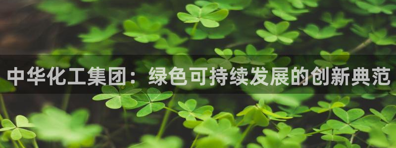 球盟会下款快吗：中华化工集团：绿色可持续发展的创新典范