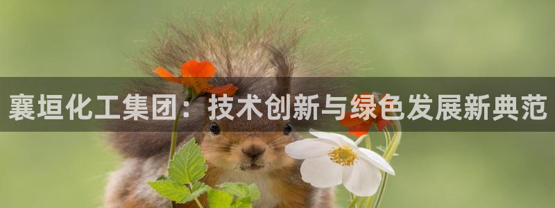 球盟会登录平台：襄垣化工集团：技术创新与绿色发展新典范