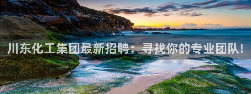 球盟会邮箱：川东化工集团最新招聘：寻找你的专业团队!