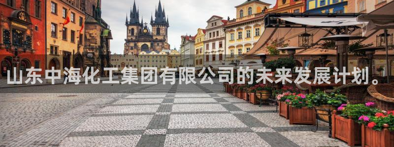 球盟会app最新地址下载：山东中海化工集团有限公司的未来发展