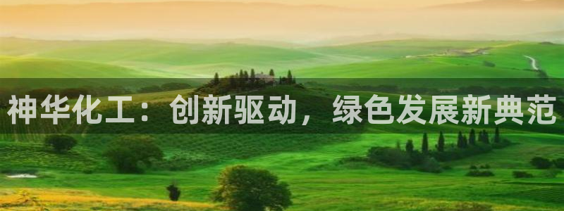球盟会在线网站：神华化工：创新驱动，绿色发展新典范