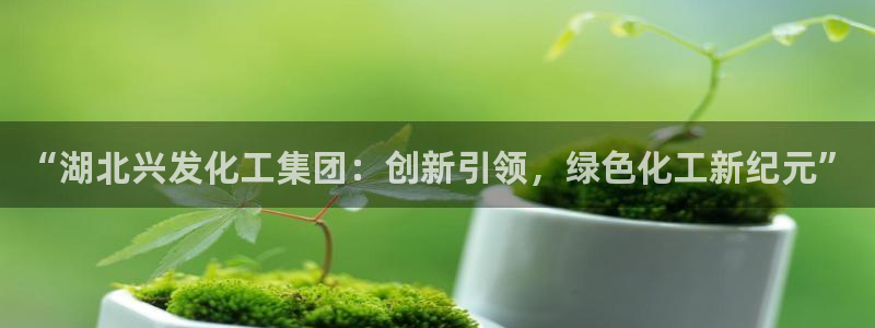 球盟会在线登录官网：“湖北兴发化工集团：创新引领，绿色化工新