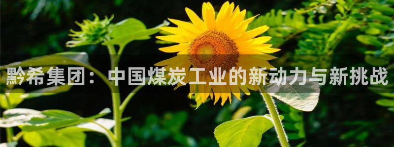 球盟会综合体育平台怎么样：黔希集团：中国煤炭工业的新动力与新