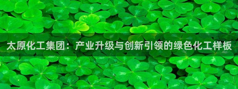 球盟会官方：太原化工集团：产业升级与创新引领的绿色化工样板