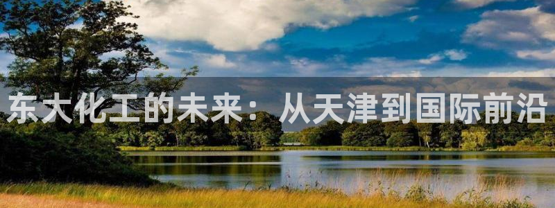 球盟会app最新地址在哪：东大化工的未来