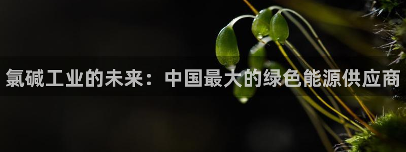 球盟会网址多少：氯碱工业的未来：中国最大的绿色能源供应商