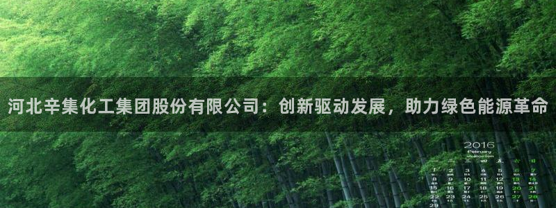 球盟会出款黑了：河北辛集化工集团股份有限公司：创新驱动发展，