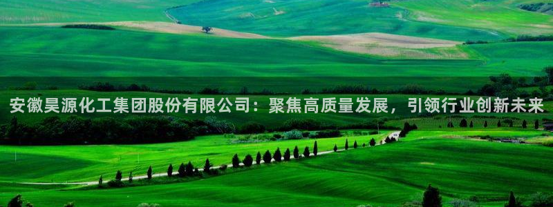 球盟会几点玩合适：安徽昊源化工集团股份有