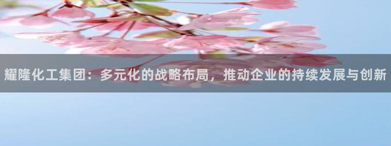 球盟会官网登录入口：耀隆化工集团：多元化的战略布局，推动企业