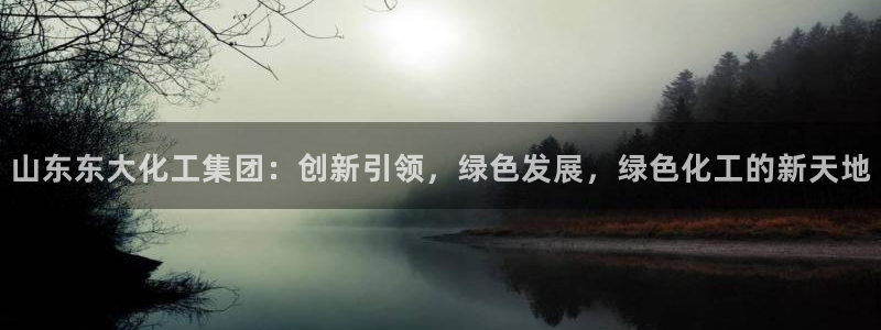 球盟会官网登录入口：山东东大化工集团：创