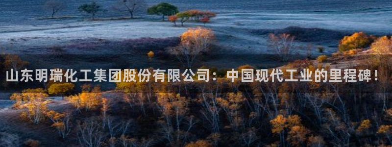 球盟会中国官方网站：山东明瑞化工集团股份有限公司：中国现代工
