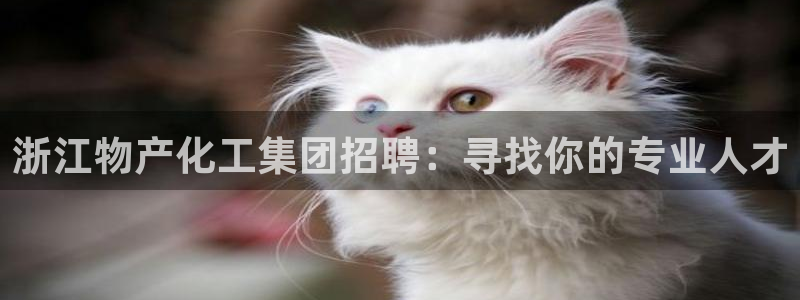 球盟会最新活动：浙江物产化工集团招聘：寻找你的专业人才