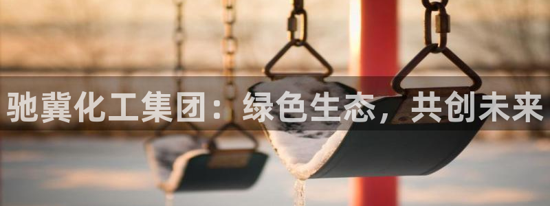 球盟会app最新地址在哪里：驰冀化工集团