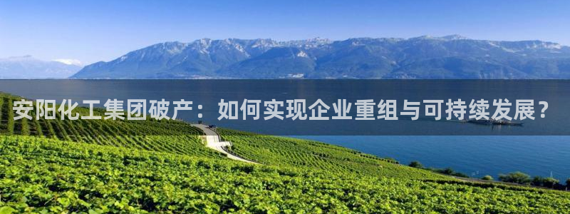 球盟会官方登录平台入口：安阳化工集团破产：如何实现企业重组与