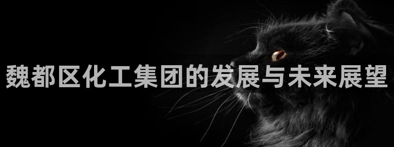 球盟会官方客服：魏都区化工集团的发展与未来展望