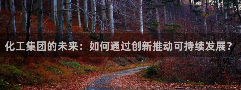 球盟会用的客服聊天是哪个软件：化工集团的未来：如何通过创新推
