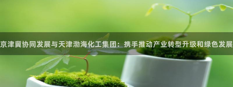 球盟会和中欧会的区别
