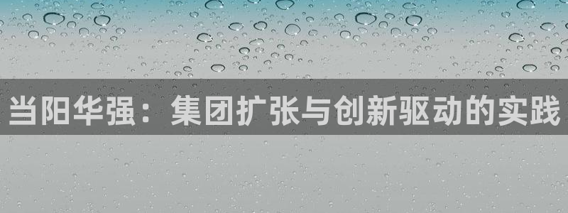 球盟会qmh电子网页版登录：当阳华强：集团扩张与创新驱动的实