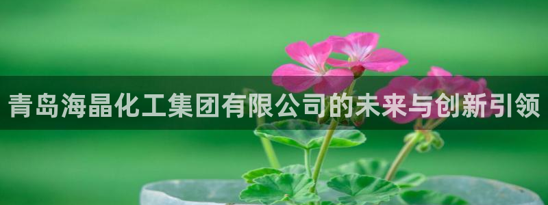 球盟会官方网页登录：青岛海晶化工集团有限