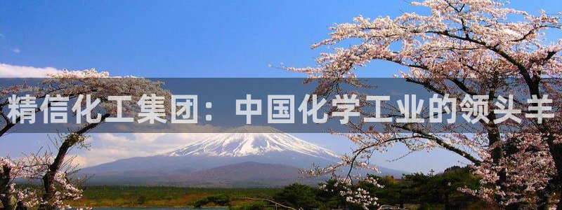 球盟会登录平台