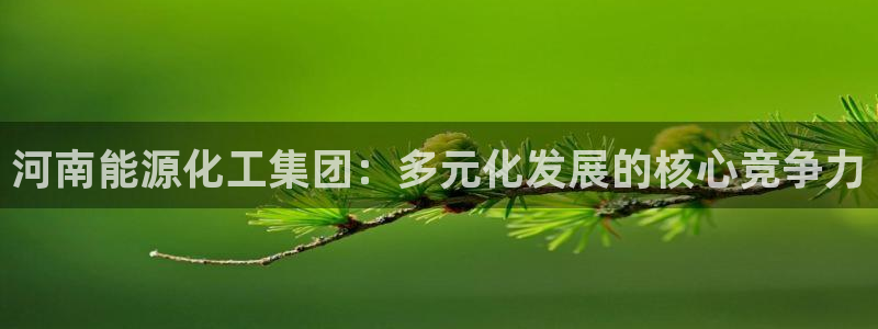 球盟会官网入口