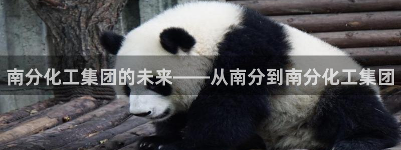 球盟会app安装：南分化工集团的未来——从南分到南分化工集团
