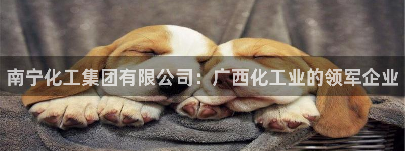 球盟会app最新地址在哪