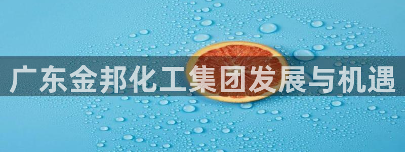 球盟会中国官方网站：广东金邦化工集团发展与机遇