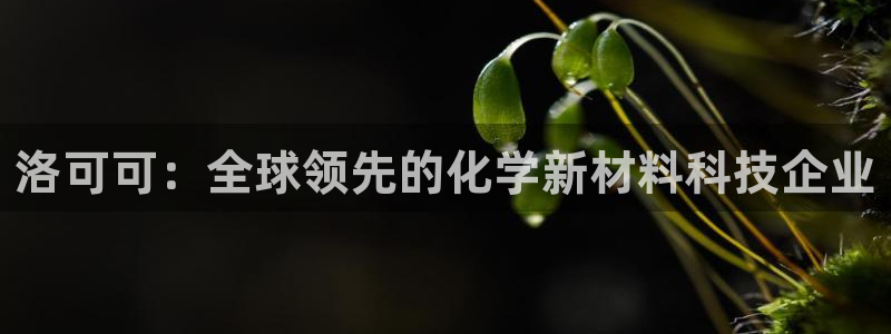 球盟会贴吧：洛可可：全球领先的化学新材料科技企业