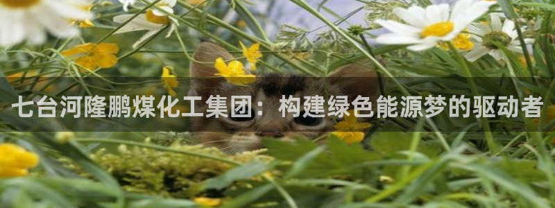 球盟会网页登录app下载地址：七台河隆鹏煤化工集团：构建绿色