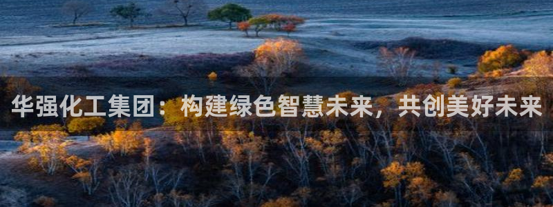 球盟会封号：华强化工集团：构建绿色智慧未来，共创美好未来