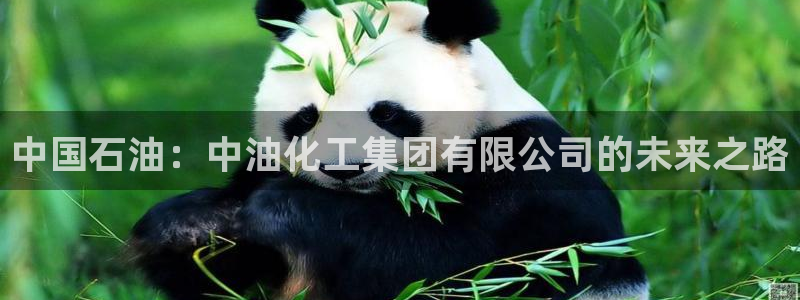 球盟会最新：中国石油：中油化工集团有限公司的未来之路