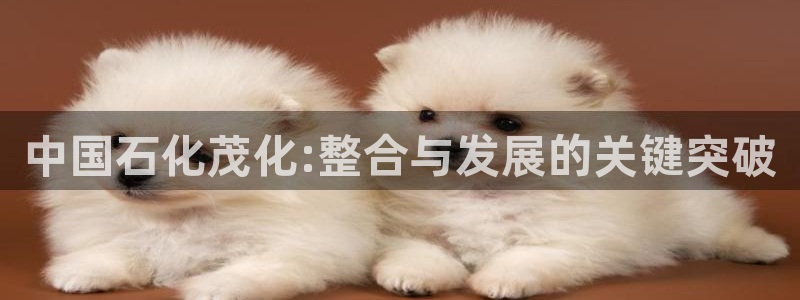 球盟会黑款吗还是白款：中国石化茂化:整合与发展的关键突破