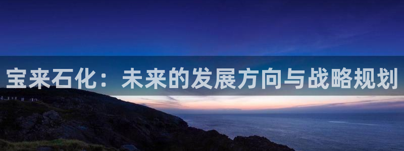 球盟会app安装：宝来石化：未来的发展方向与战略规划